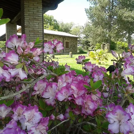 Agriturismo Il Morello Acquapendente