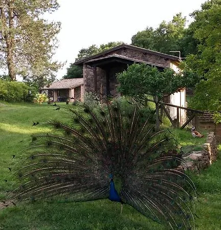Agriturismo Il Morello