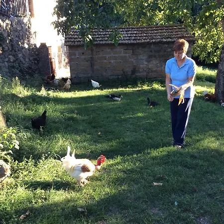 Agriturismo Il Morello Farm stay *