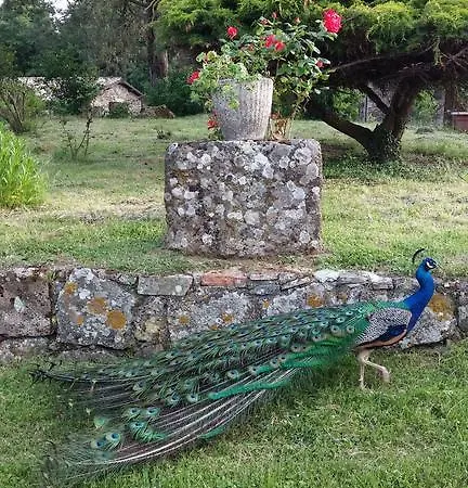 Agriturismo Il Morello Farm stay *