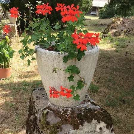 Agriturismo Il Morello Farm stay Acquapendente