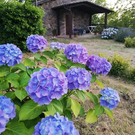 Agriturismo Il Morello * Acquapendente