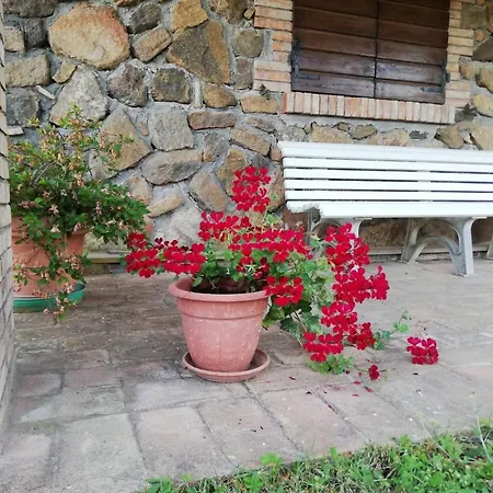Agriturismo Il Morello